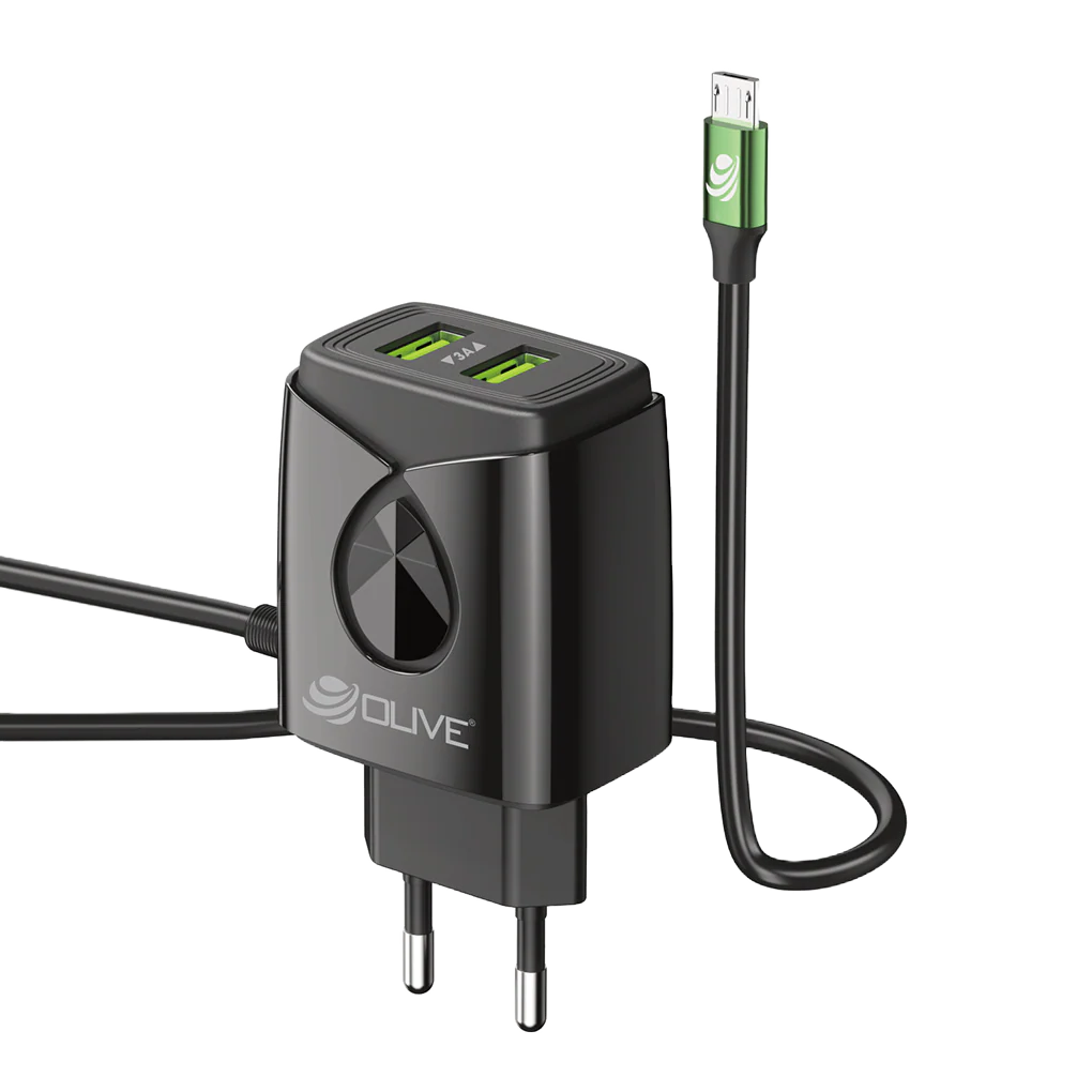 Olive Oval Fast Charger