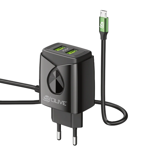 Olive Oval Fast Charger